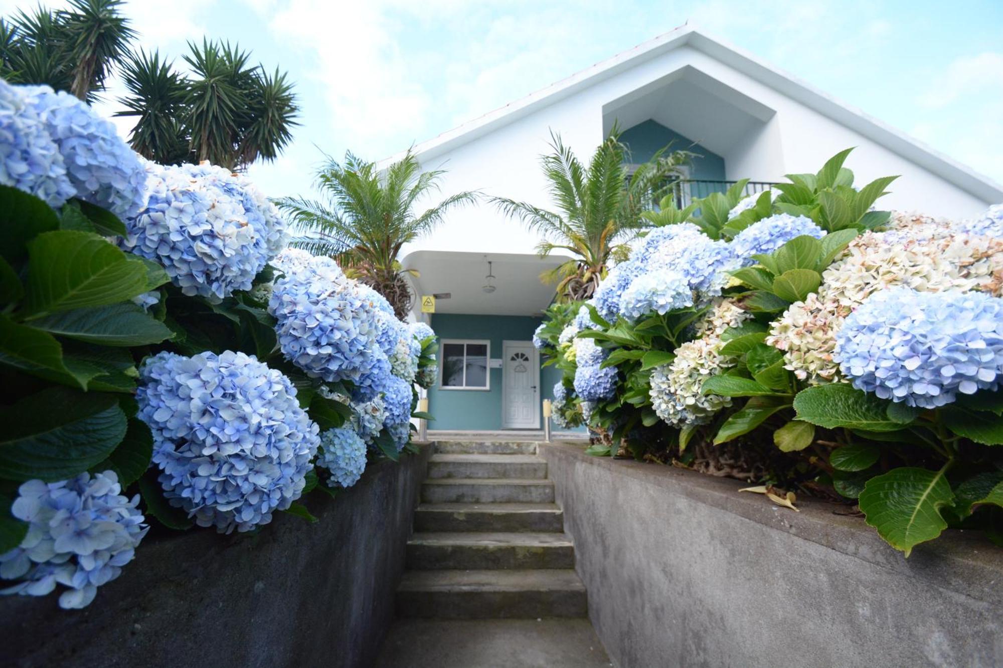 Casinha Das Hortensias Apartman Horta  Kültér fotó