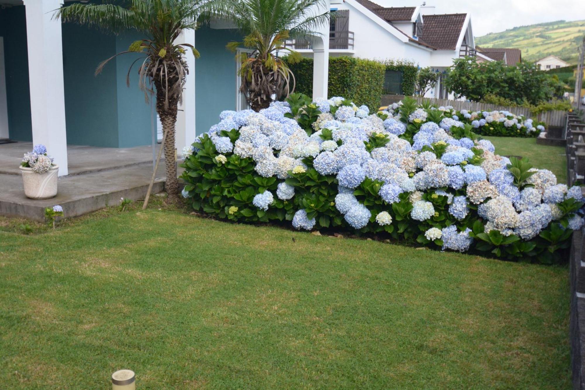 Casinha Das Hortensias Apartman Horta  Kültér fotó